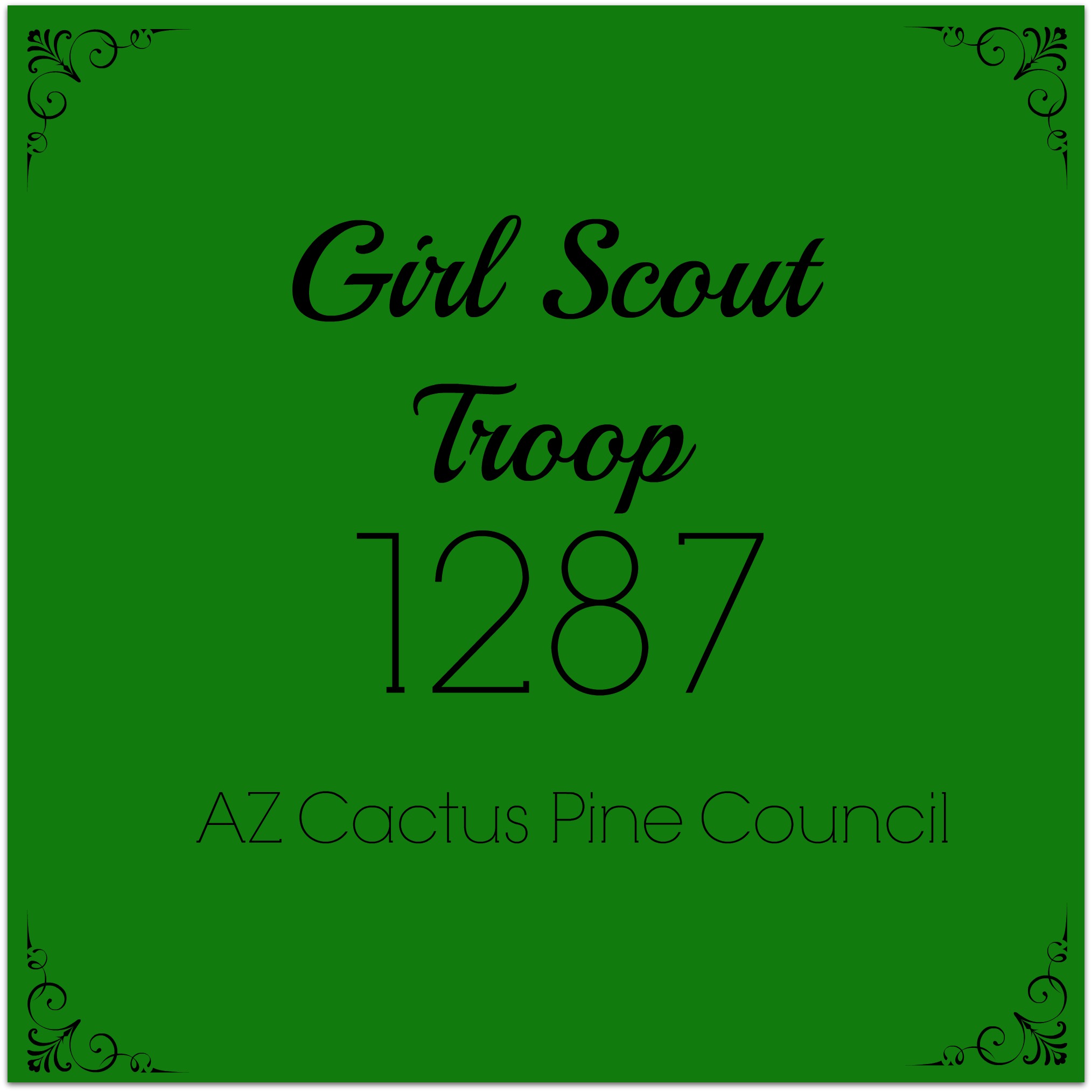 Troop 1287 